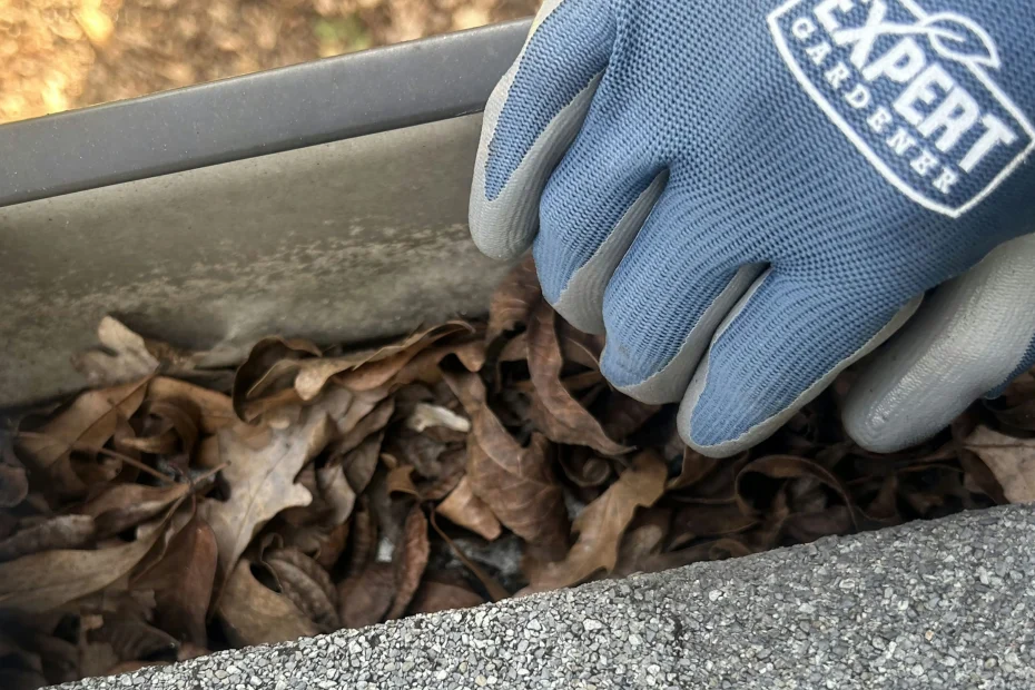 Gutter Cleaning Allentown